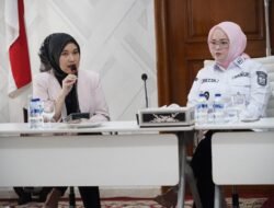 Wabup Netta Terima Audiensi Direktur RS. Hermina Opi Jakabaring