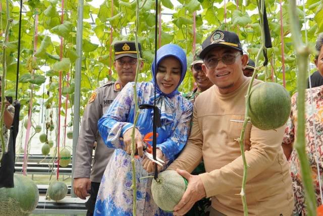 Wabup Sidoarjo Apresiasi Melon Hidroponik Desa Gempol Klutuk