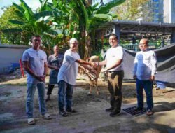 Semangat Idul Adha 1446 H, Energi Keikhlasan Pancarkan Cahaya Pengorbanan dan Kuatkan Persaudaraan di Lingkungan PLN S2JB