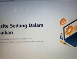 Pendaftaran SPMB SD-SMP di Palembang Diwarnai Server Gangguan