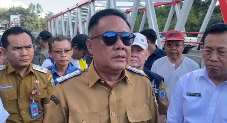 Wakil Gubernur Sumsel, Cik Ujang