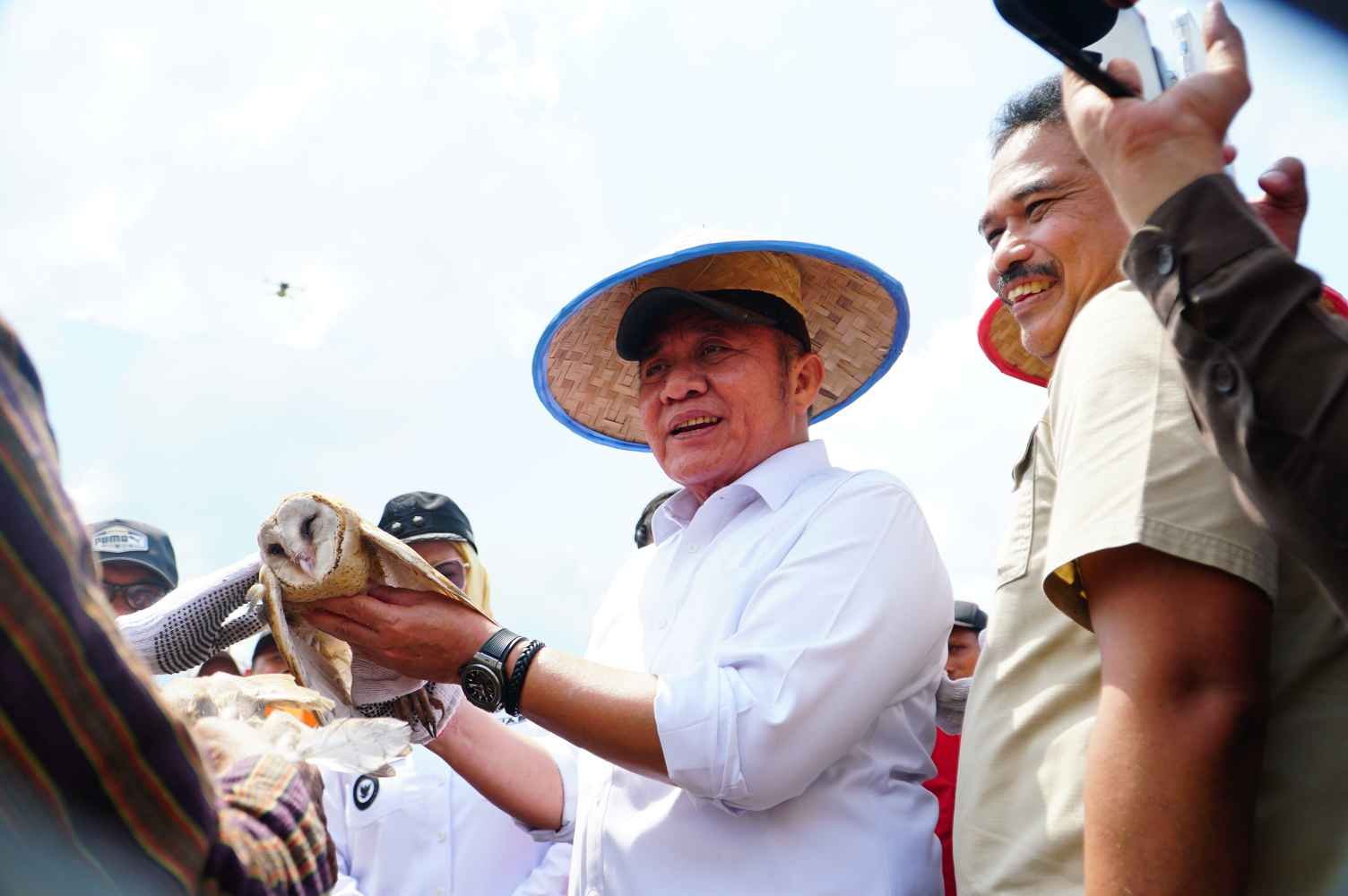 Gubernur Herman Deru memimpin panen raya Padi IP 200 di Desa Majuria, Kecamatan Karang Agung Ilir, Kabupaten Banyuasin, Jumat (25/7/2025),