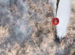 98 Kejadian Karhutla di Sumsel, Ogan Ilir Masuk Zona Merah
