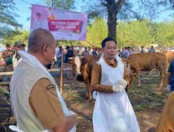 Bupati Jember Ngantor di Desa, Bawa Layanan Kesehatan Hewan Terpadu