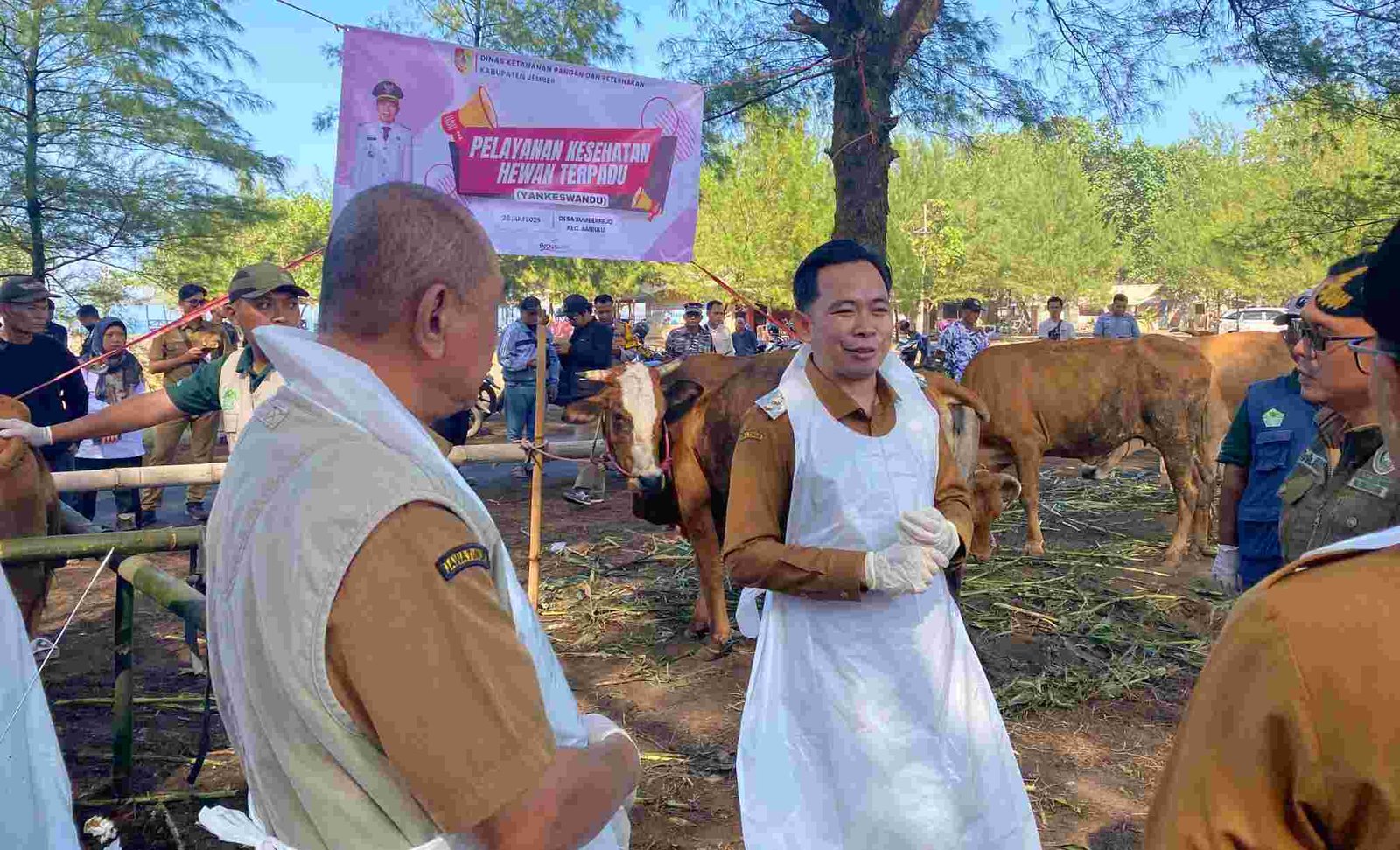 Bupati Jember Ngantor di Desa, Bawa Layanan Kesehatan Hewan Terpadu