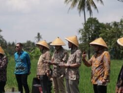 Dukung Swasembada Pangan Nasional, PTBA dan UGM Hadirkan Produk Kalium Humat dari Hilirisasi Batubara