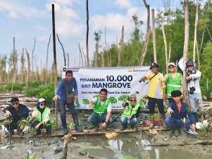 PTBA Bergerak Menghijaukan Pesisir Lampung, Tanam 10.000 Mangrove di Lampung Timur