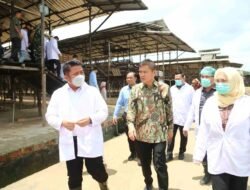 Sertifikasi NKV Dongkrak Daya Saing Produksi Telur Banyuasin di Pasar Nasional