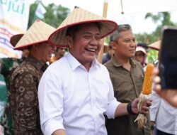Padi Apung Jadi Ikon Inovasi, Sumsel Siap Jawab Tantangan Ketahanan Pangan Nasional