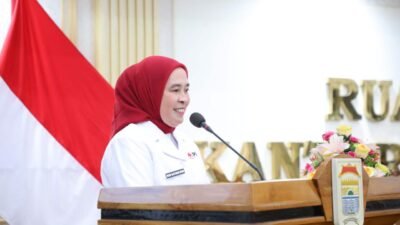 Ketua PMI Kota Palembang Dewi Sastrani Ratu Dewa