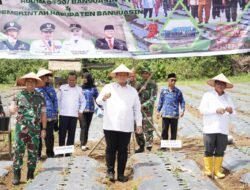 Dandim dan Pemkab Banyuasin Tanam 30 Ribu Bibit Cabai