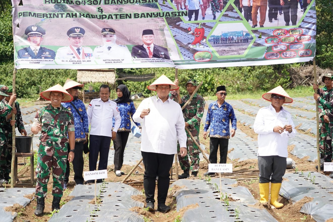 Dandim dan Pemkab Banyuasin Tanam 30 Ribu Bibit Cabai