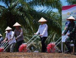 Penanaman Jagung Serentak Kuartal IV, Pemkab Banyuasin Siap Sukseskan Ketahanan Pangan Nasional