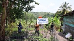 Utun Bersedekah: “Pela Jage Bande Kite”, Wujud Nyata Sedekah untuk Alam dari PT Bukit Asam