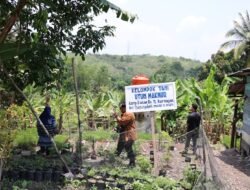 Utun Bersedekah: “Pela Jage Bande Kite”, Wujud Nyata Sedekah untuk Alam dari PT Bukit Asam