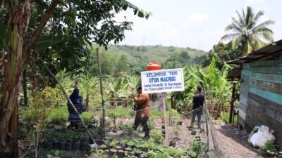Utun Bersedekah: “Pela Jage Bande Kite”, Wujud Nyata Sedekah untuk Alam dari PT Bukit Asam