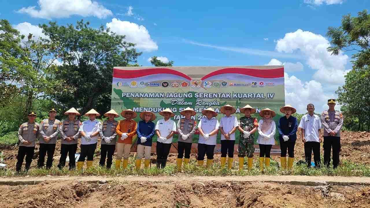 Kolaborasi Wujudkan Ketahanan Pangan Melalui Program Penanaman Jagung