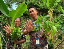 HBAP Toreh Prestasi Internasional Lewat Program Hijau Berbasis Agribisnis Pekarangan