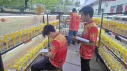 Peserta Kompetisi Spirit Betta Contes 2025 Over Target, Panitia Siapkan Hadiah Puluhan Juta Rupiah