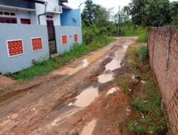 Warga Lorong Bahri Minta Perbaikan Jalan, Kondisi Miris