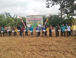 Dukung Ketahanan Pangan Pemerintah Desa Simpang Tais Gelar Tanam Jagung Hibrida