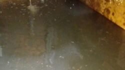 Pelanggan PDAM Tirta Pali Anugerah Resah, Diduga Salurkan Air Butek Hitam dan Bau Basuk