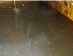 Pelanggan PDAM Tirta Pali Anugerah Resah, Diduga Salurkan Air Butek Hitam dan Bau Basuk