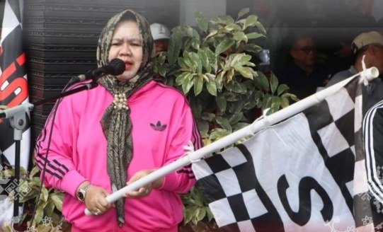 Wakil Bupati, Ir. Hj Sumarni