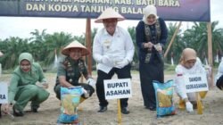 Forkopimda Asahan Bersatu Dukung Gerakan Tanam Padi Gogo Kodim 0208/Asahan