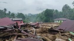 Diduga Akibat Hutan di Agara Gundul, Kayu Turun Terjang Pondok Pesantren