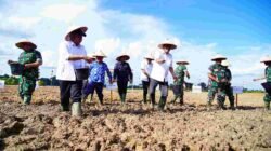 Program Nasional Cetak Sawah Dorong Kemandirian Pangan, Muba Dapat Amanah 6.100 Hektare