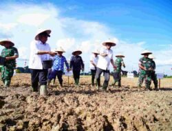 Program Nasional Cetak Sawah Dorong Kemandirian Pangan, Muba Dapat Amanah 6.100 Hektare