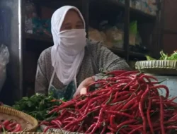 Cabai Merah Keriting Turut Andil Dalam Nilai Inflasi Sumsel