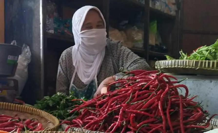 Ilustrasi cabai merah keriting.
