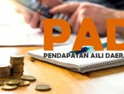 Target PAD Sumsel 2026 Naik Rp237 Miliar