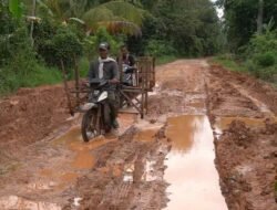 Minim Perhatian Pemerintah dan Wakil Rakyat, Jalan RT 10 Desa Talang Buluh Dibiarkan Rusak Berlumpur