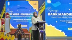 Wakil Bupati Banyuasin, Netta Indian