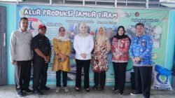 Wabup Netta Tinjau UMKM Jamur Tiram di KTM Telang, Dorong Ekonomi Kreatif Lokal