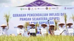 GPIPS Wilayah Sumatera Digelar di Persawahan Banyuasin,