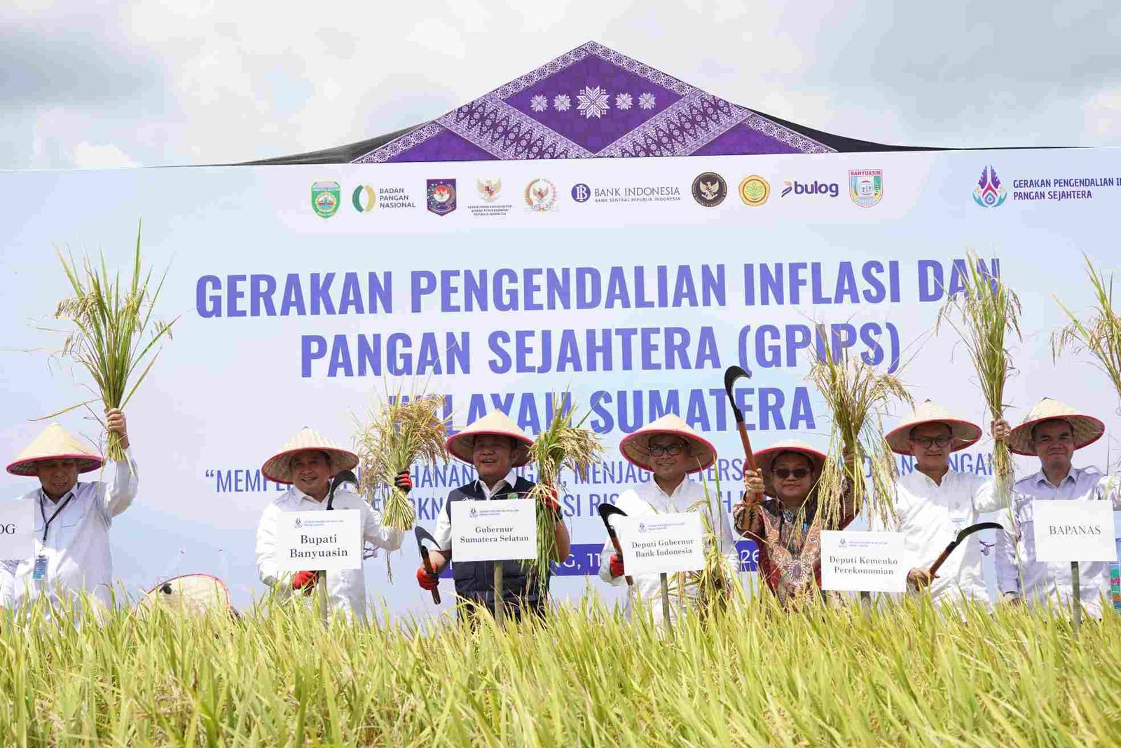 GPIPS Wilayah Sumatera Digelar di Persawahan Banyuasin,