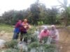 EcoGrow Mom PTBA, Wujud Nyata Pemberdayaan Perempuan Berbasis Urban Farming di Tanjung Karangan