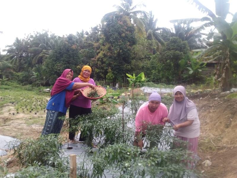 EcoGrow Mom PTBA, Wujud Nyata Pemberdayaan Perempuan Berbasis Urban Farming di Tanjung Karangan