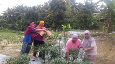 EcoGrow Mom PTBA, Wujud Nyata Pemberdayaan Perempuan Berbasis Urban Farming di Tanjung Karangan