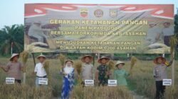Panen Raya Ketahanan Pangan Padi Gogo, Langkah Nyata Wujudkan Swasembada Pangan