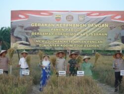 Panen Raya Ketahanan Pangan Padi Gogo, Langkah Nyata Wujudkan Swasembada Pangan