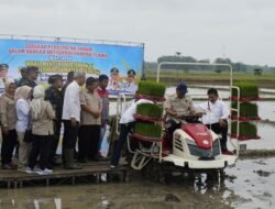 Antisipasi Elnino, Pemerintah Pusat dan Daerah Percepat Gerakan Tanam