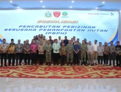 Bupati Asahan Hadiri Sosialisasi Pencabutan Perizinan Berusaha Pemanfaatan Hutan di Medan