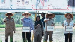 Banyuasin Optimis Capai Targetkan 1 Juta Ton Lebih Hasil Tanam Padi Tahun 2026