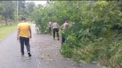 Respons Cepat Polsek Singkep Barat Bersihkan Material Pohon Tumbang