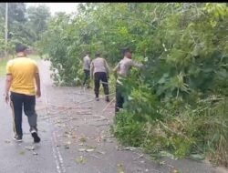 Respons Cepat Polsek Singkep Barat Bersihkan Material Pohon Tumbang